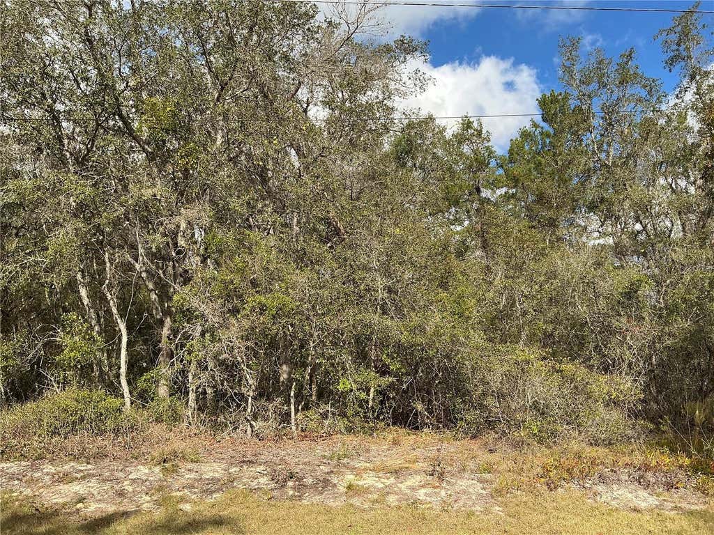 Photo of 8 Fisher Trace, Ocklawaha, FL 32179 (MLS # OM729495)