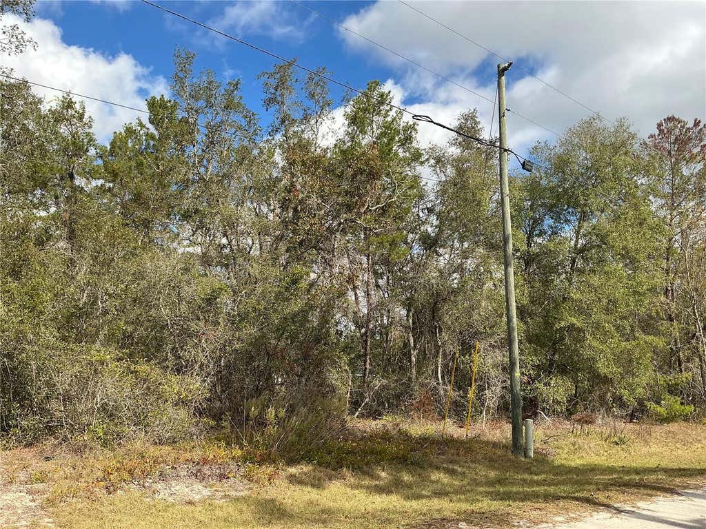 Photo of 8 Fisher Trace, Ocklawaha, FL 32179 (MLS # OM729495)