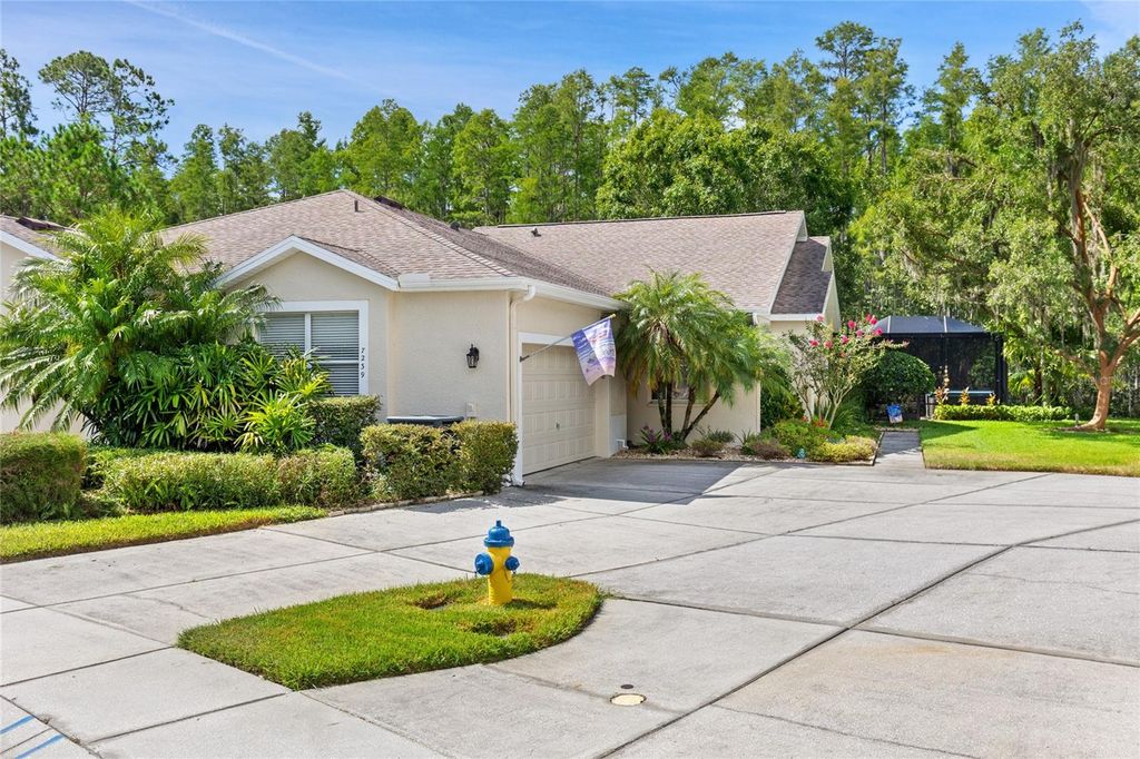 Photo of 7239 Cleopatra Drive, Land O Lakes, FL 34637 (MLS # W7877896)