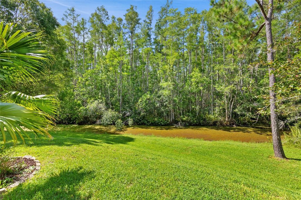 Photo of 7239 Cleopatra Drive, Land O Lakes, FL 34637 (MLS # W7877896)