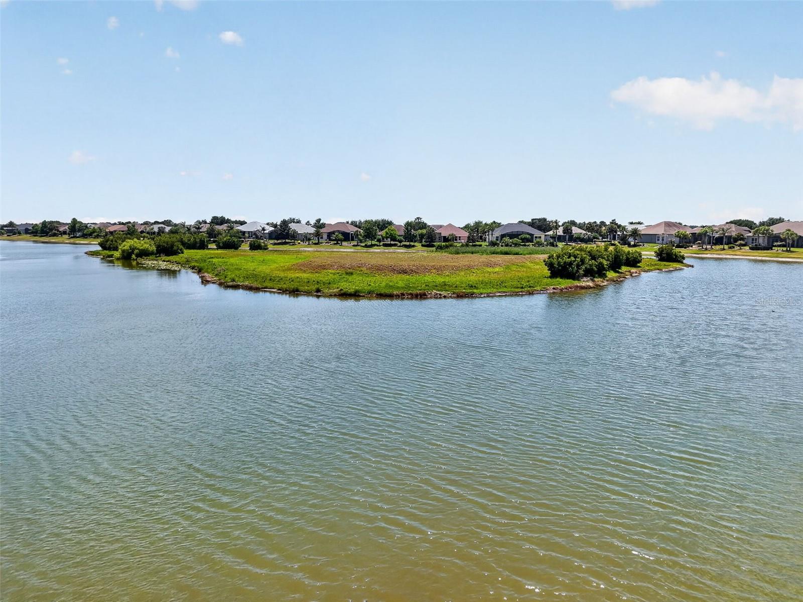 LAKES OF MOUNT DORA - Residential