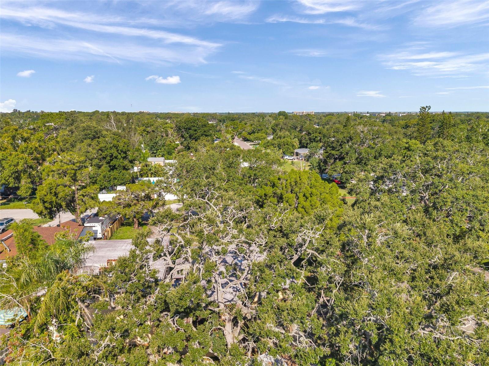 BARCELO PARK - Residential