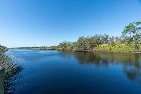 A home in PORT CHARLOTTE