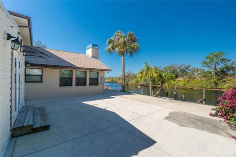 A home in PORT CHARLOTTE