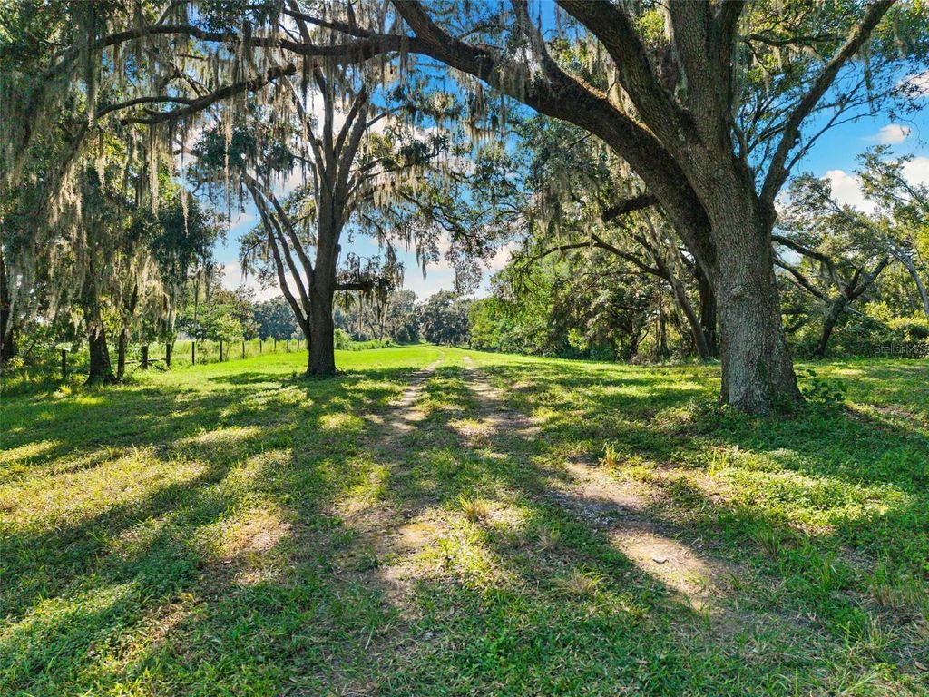 Photo of 14765 Us Highway 41, Spring Hill, FL 34610 (MLS # TB8419309)