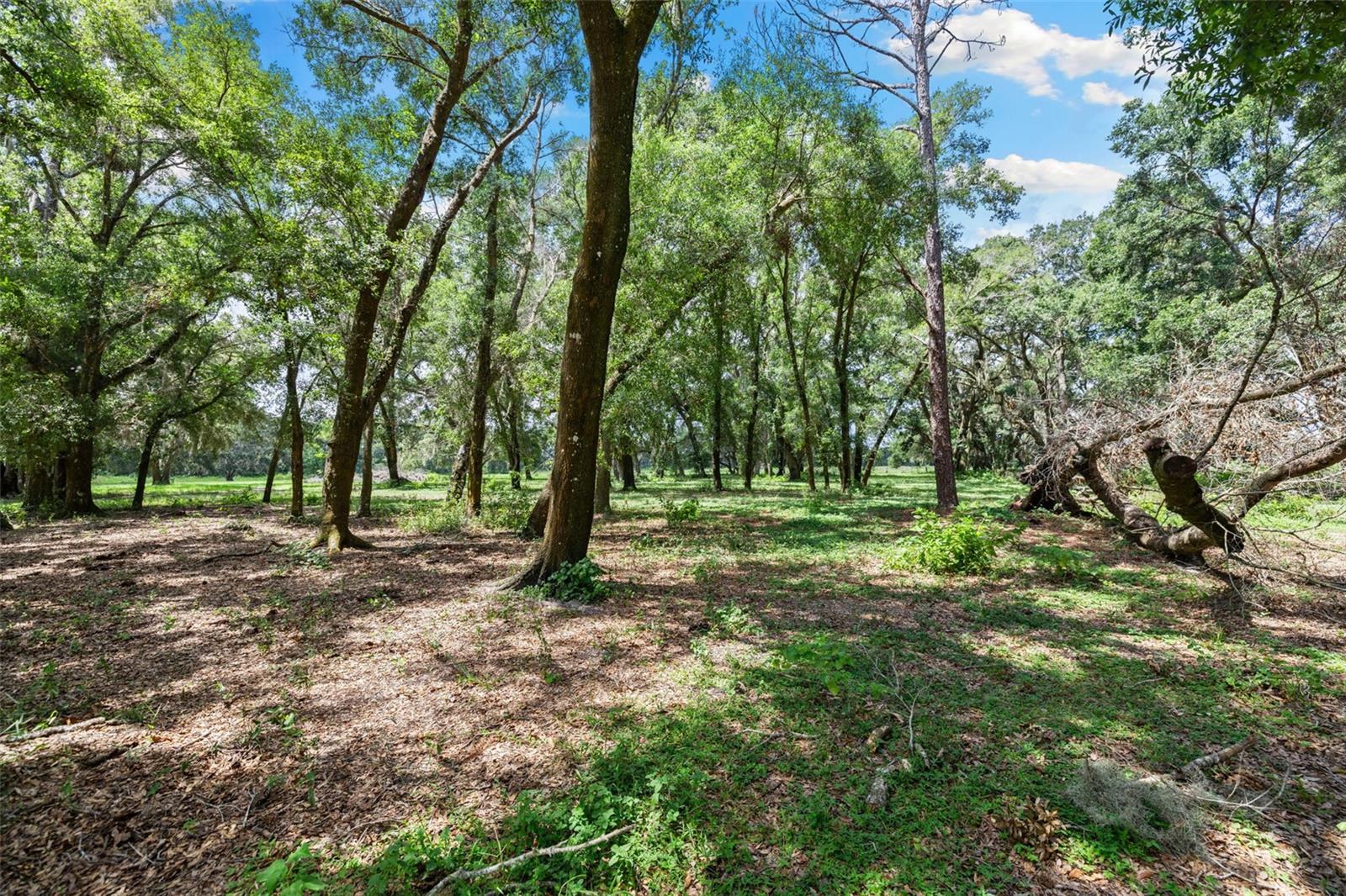 ACREAGE - Residential