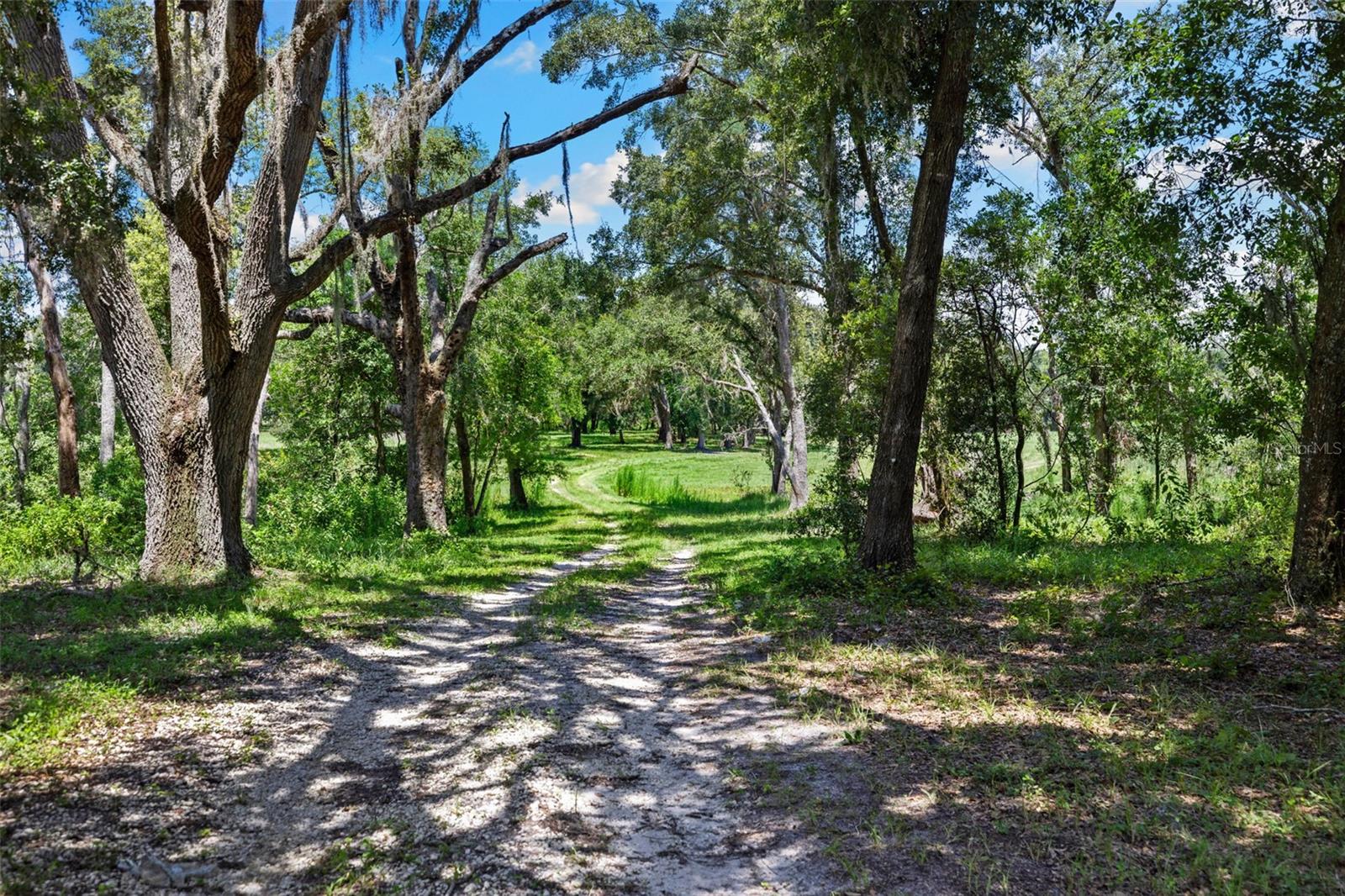 ACREAGE - Residential