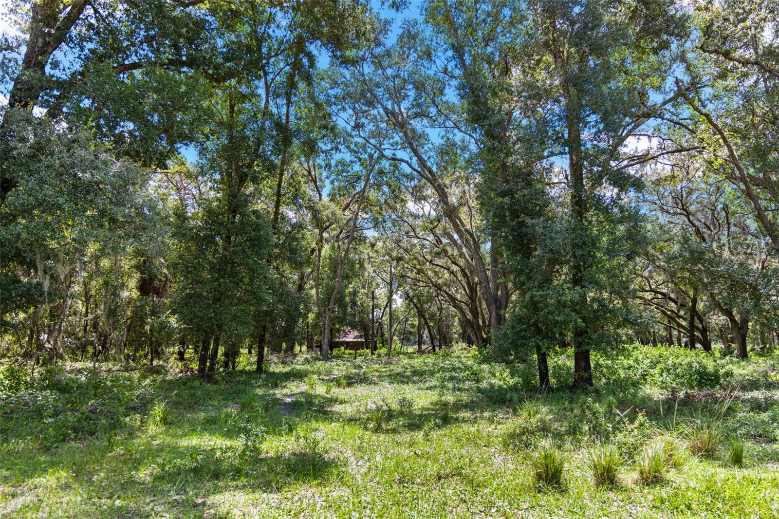 ACREAGE - Residential