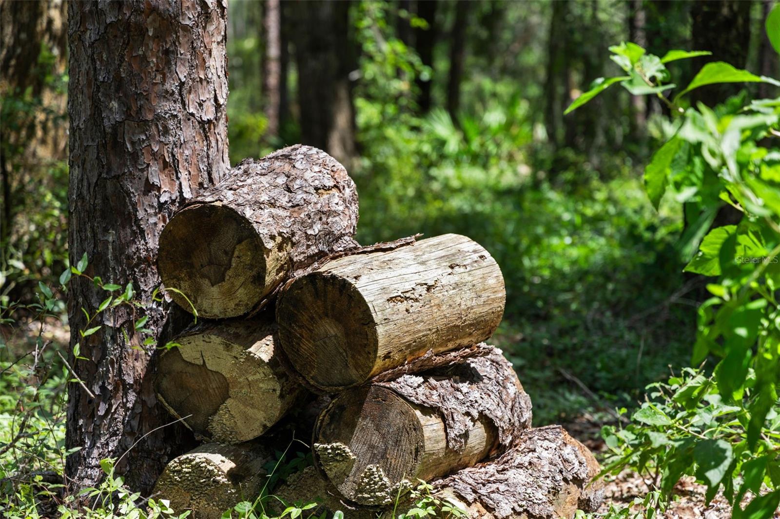 ACREAGE - Residential