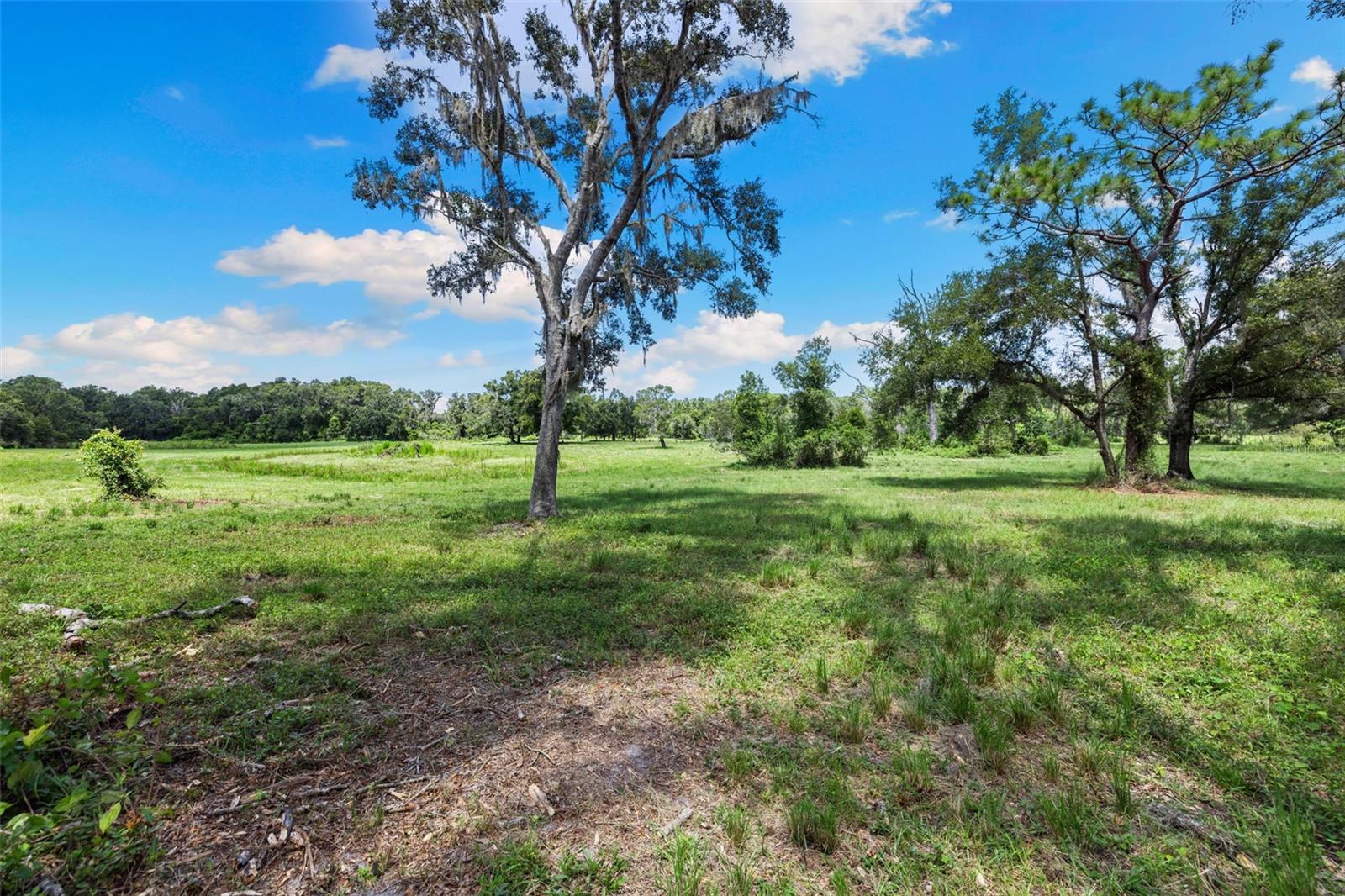 ACREAGE - Residential