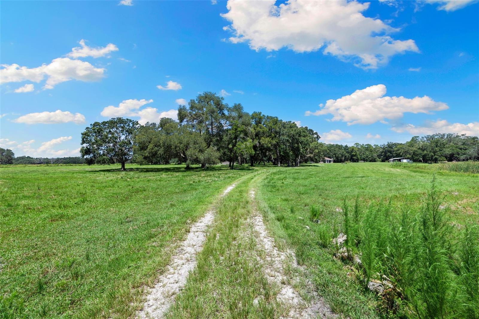 ACREAGE - Residential