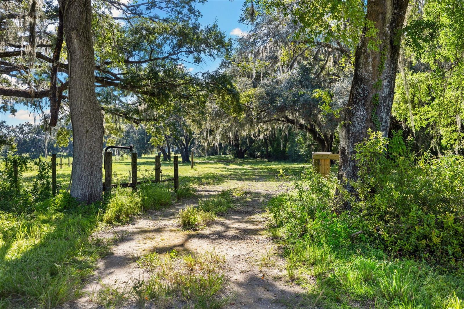 ACREAGE - Residential