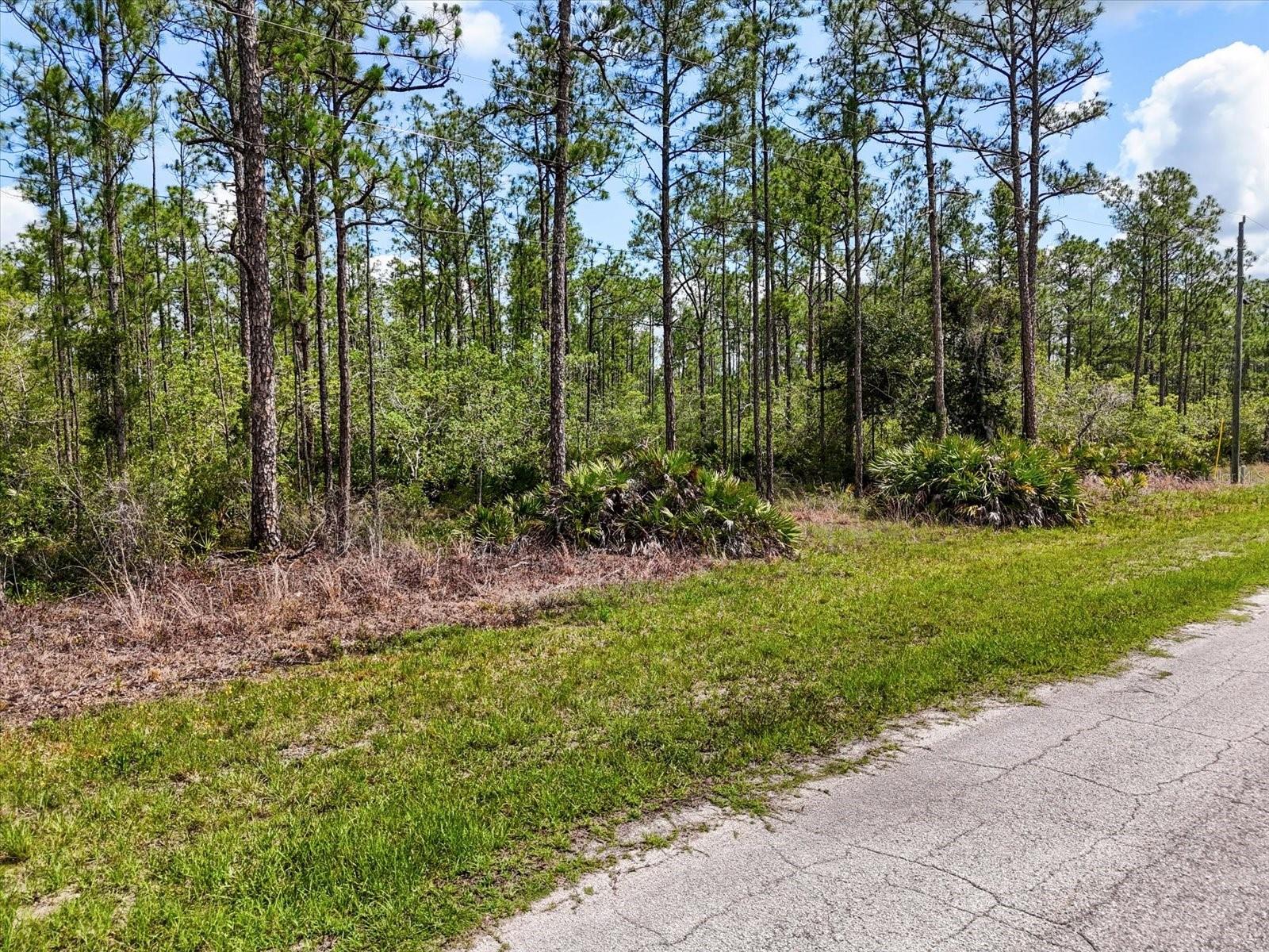 Come Build Your Florida Dream!
Welcome to Lot 62 Meadowlark Blvd — a rare opportunity to own 1.74 acres of prime Florida land in the highly sought-after Indian Lake Estates community. For those looking for even more space to create their dream estate, Lot 61 the adjacent 1.74-acre lot is also available for purchase, offering a combined total of 3.48 acres.
Nestled in the Woodlands section of Indian Lake Estates, this property invites you to design and build your forever home in a serene natural setting where Florida living truly shines. Whether you're ready to build now or invest for the future, this lot offers incredible potential.
Community Highlights:
Situated around the 7,500-acre Lake Walk-In-Water — one of Florida's top bass fishing lakes
Private community beach, boat ramp, marina, and the longest freshwater fishing pier in Florida
18-hole championship golf course, basketball & tennis courts
23,000 sq.ft. clubhouse with café, fitness room, pro shop, post office, library, and churches
Lifestyle Perks:
Peaceful country living surrounded by deer, wild turkey, cranes, and native Florida wildlife
Just 20 miles east of Lake Wales for shopping, dining, and local conveniences
Only 1 hour to Orlando, Disney, Tampa, Busch Gardens, and some of Florida’s best Gulf Coast beaches
Whether you envision quiet mornings fishing, afternoons on the golf course, or simply enjoying the peaceful sounds of nature, Indian Lake Estates offers a lifestyle where tranquility meets convenience.
Don’t miss your chance to secure this beautiful homesite in the heart of Central Florida. Buy one lot or both to maximize your space and your vision.