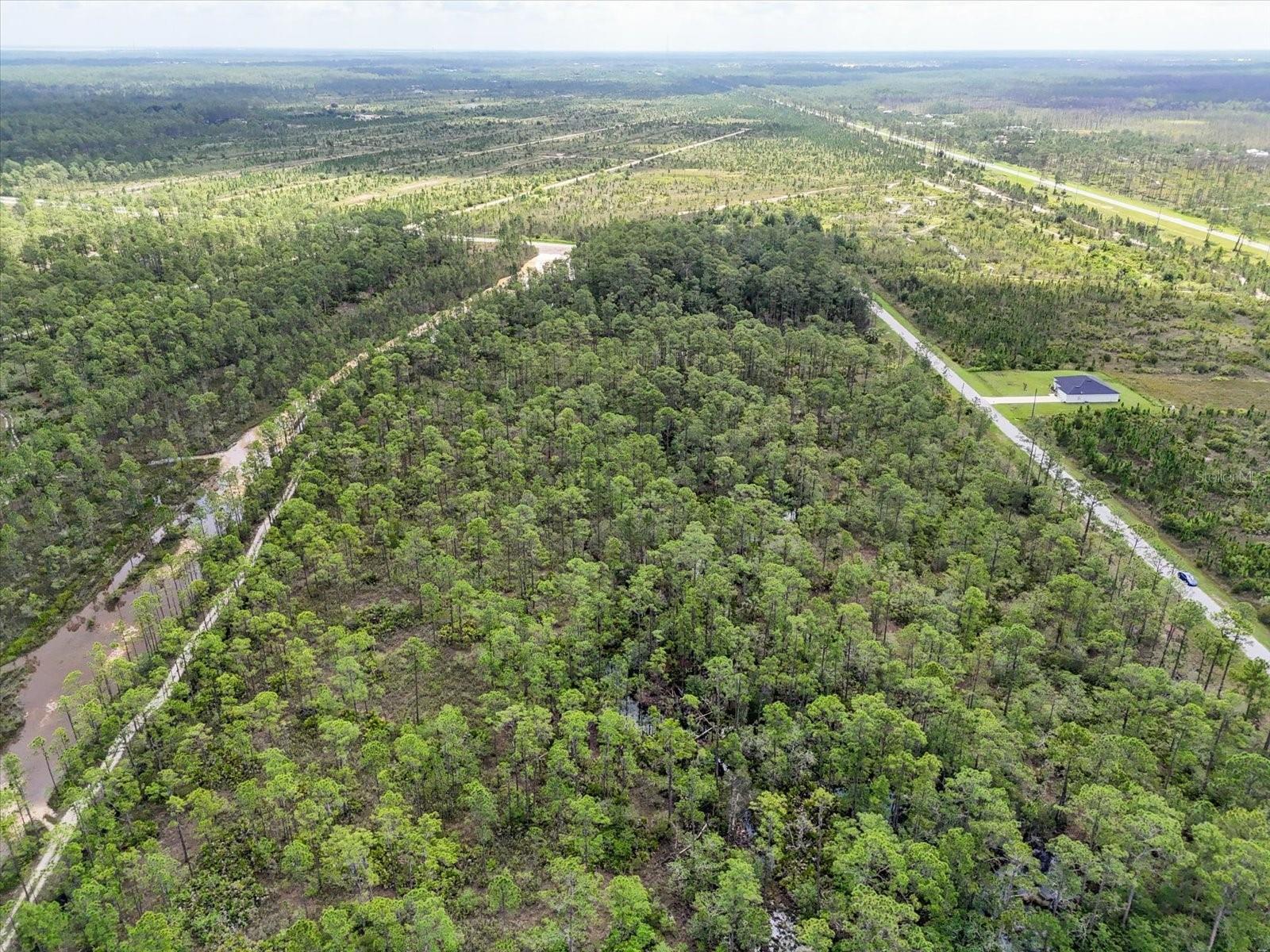 WOODLANDS - Land