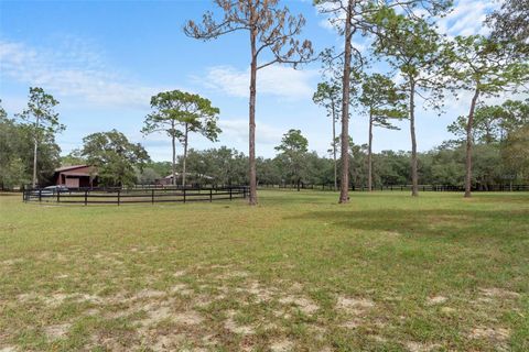 Tiny photo for 4202 N Pony Drive, Beverly Hills, FL 34465 (MLS # W7880217)