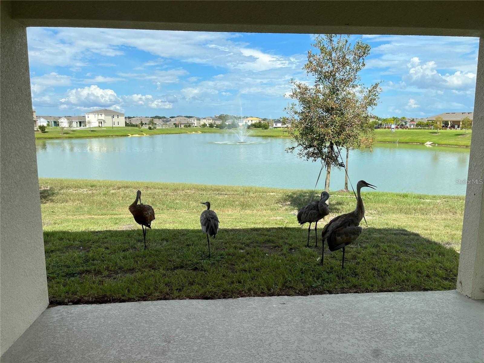 CHARLES COVE - Residential Lease