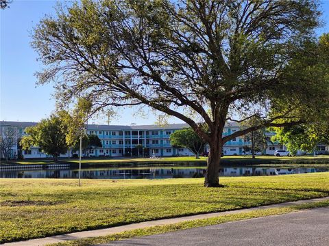 6000 20TH STREET N 116 ST PETERSBURG FL 33714