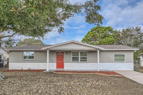 A home in PORT RICHEY