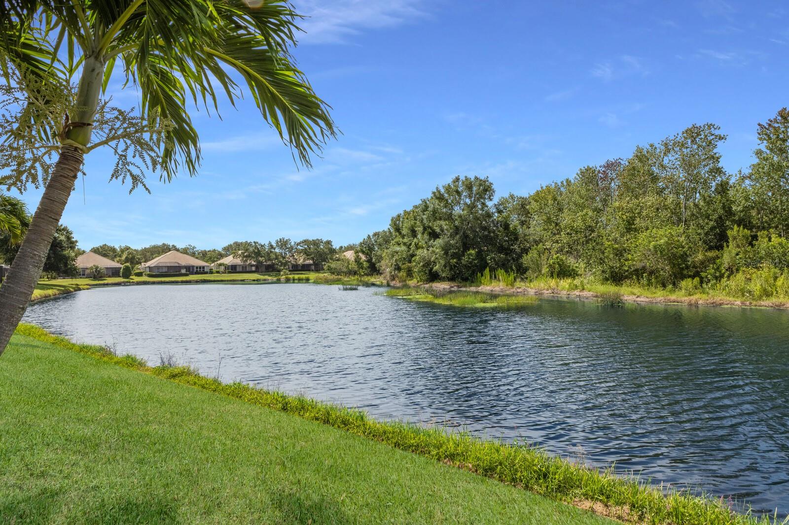 LAKEWOOD RANCH COUNTRY CLUB VILLAGE - Residential