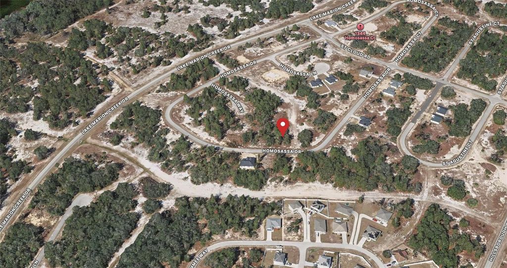 Photo of 1333 Homosassa Drive, Kissimmee, FL 34759 (MLS # OM714063)