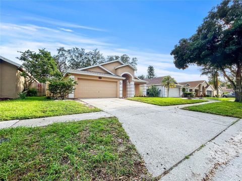 A home in TAMPA