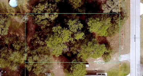 Photo of SE 92nd Avenue, Summerfield, FL 34491 (MLS # G5112576)