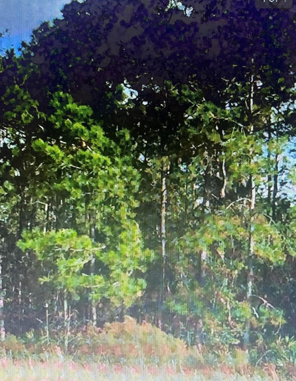 Photo of Unassigned Location Re, Archer, FL 32618 (MLS # TB8450672)