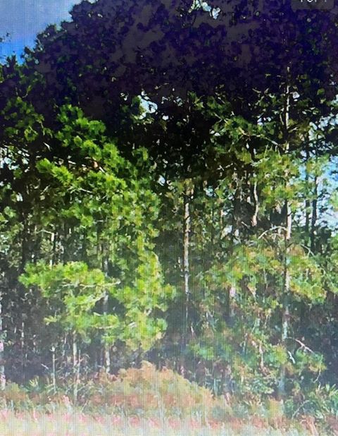 UNASSIGNED LOCATION RE ARCHER FL 32618