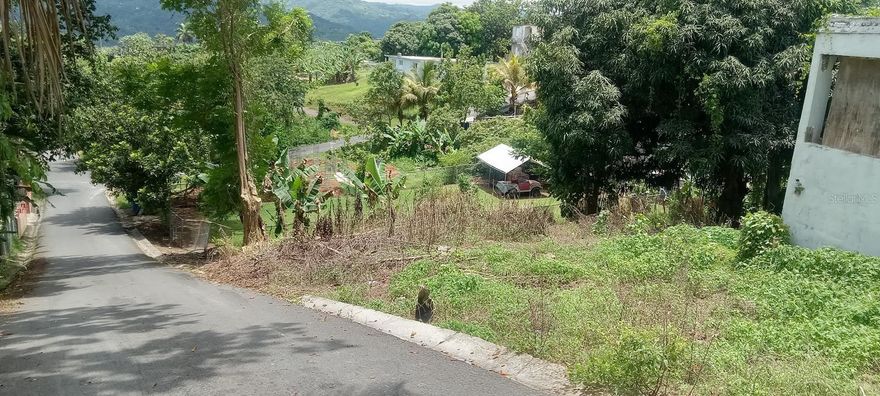 Flat lot of 633 square meters with a concrete structure, located in the Perchas II Community of San Sebastián.