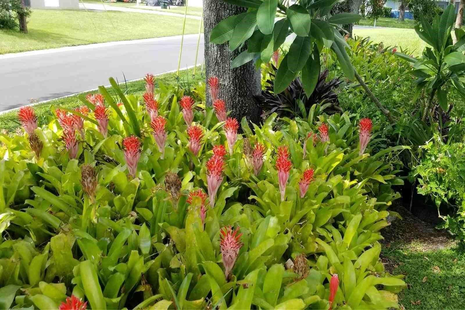 ESQUIRE MANOR - Residential