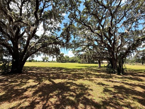 Tiny photo for 7119 SW 80th Avenue, Ocala, FL 34481 (MLS # O6309705)