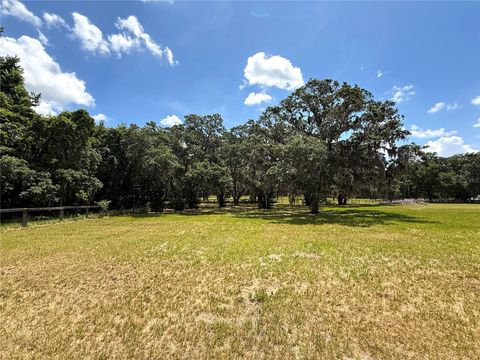 Tiny photo for 7119 SW 80th Avenue, Ocala, FL 34481 (MLS # O6309705)
