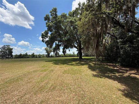 Tiny photo for 7119 SW 80th Avenue, Ocala, FL 34481 (MLS # O6309705)