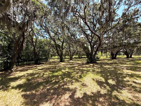 Tiny photo for 7119 SW 80th Avenue, Ocala, FL 34481 (MLS # O6309705)