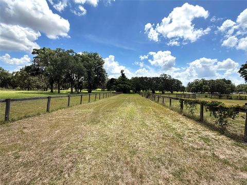 Tiny photo for 7119 SW 80th Avenue, Ocala, FL 34481 (MLS # O6309705)