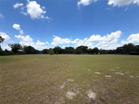Tiny photo for 7119 SW 80th Avenue, Ocala, FL 34481 (MLS # O6309705)
