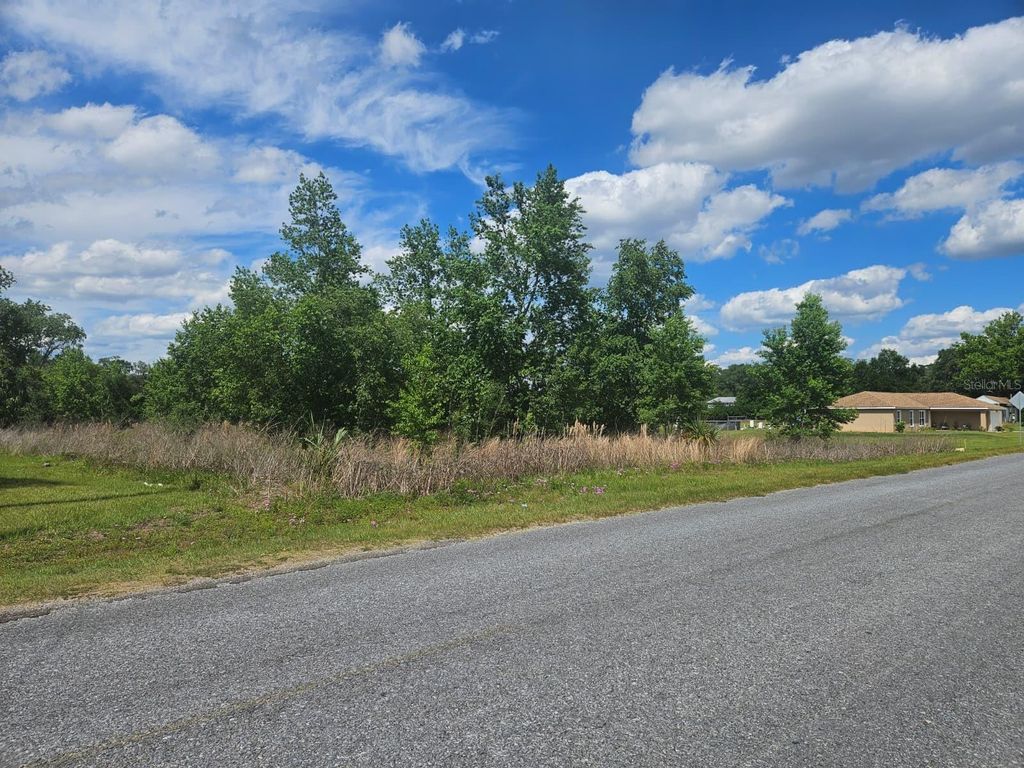 Photo of SE 140th Street, Summerfield, FL 34491 (MLS # O6406469)