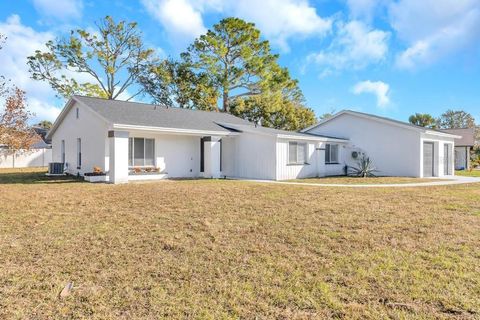 A home in PALM COAST