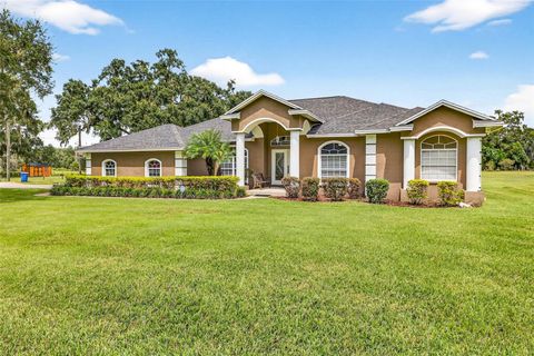 Photo of 8518 W Knights Griffin Road, Plant City, FL 33565 (MLS # TB8427995)
