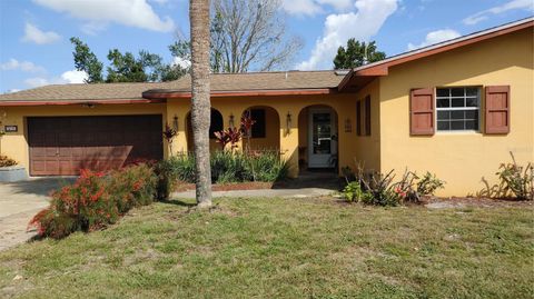 A home in DELTONA