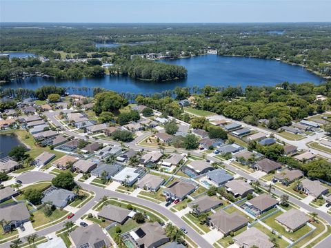 A home in LAND O LAKES