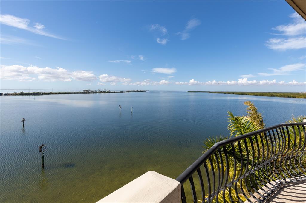 THE RESERVE OF OLD TAMPA BAY - Residential