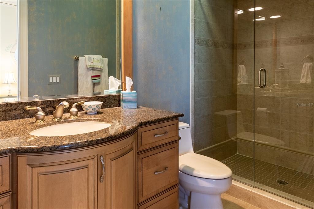 THE RESERVE OF OLD TAMPA BAY - Residential