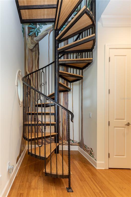 THE RESERVE OF OLD TAMPA BAY - Residential