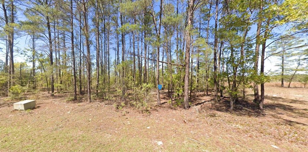 Photo of 431 Golf Club Circle, Ponce De Leon, FL 32455 (MLS # A4667513)