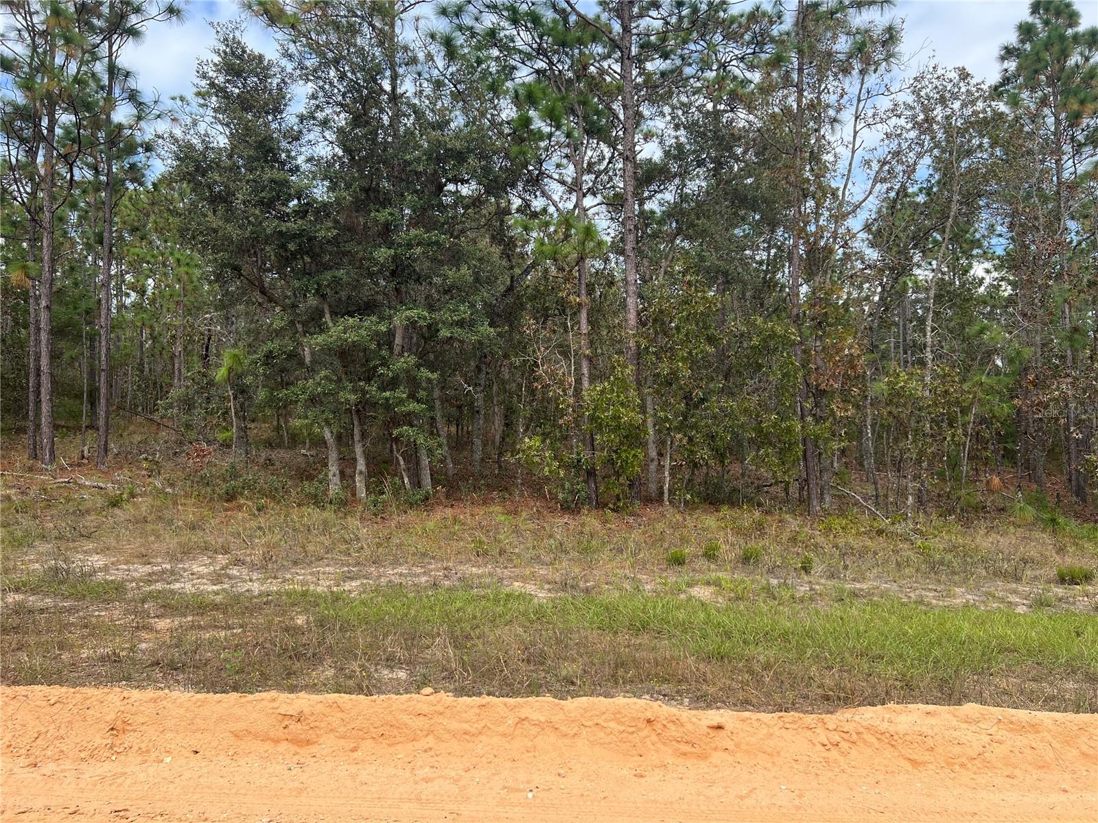 MELROSE LANDING - Land