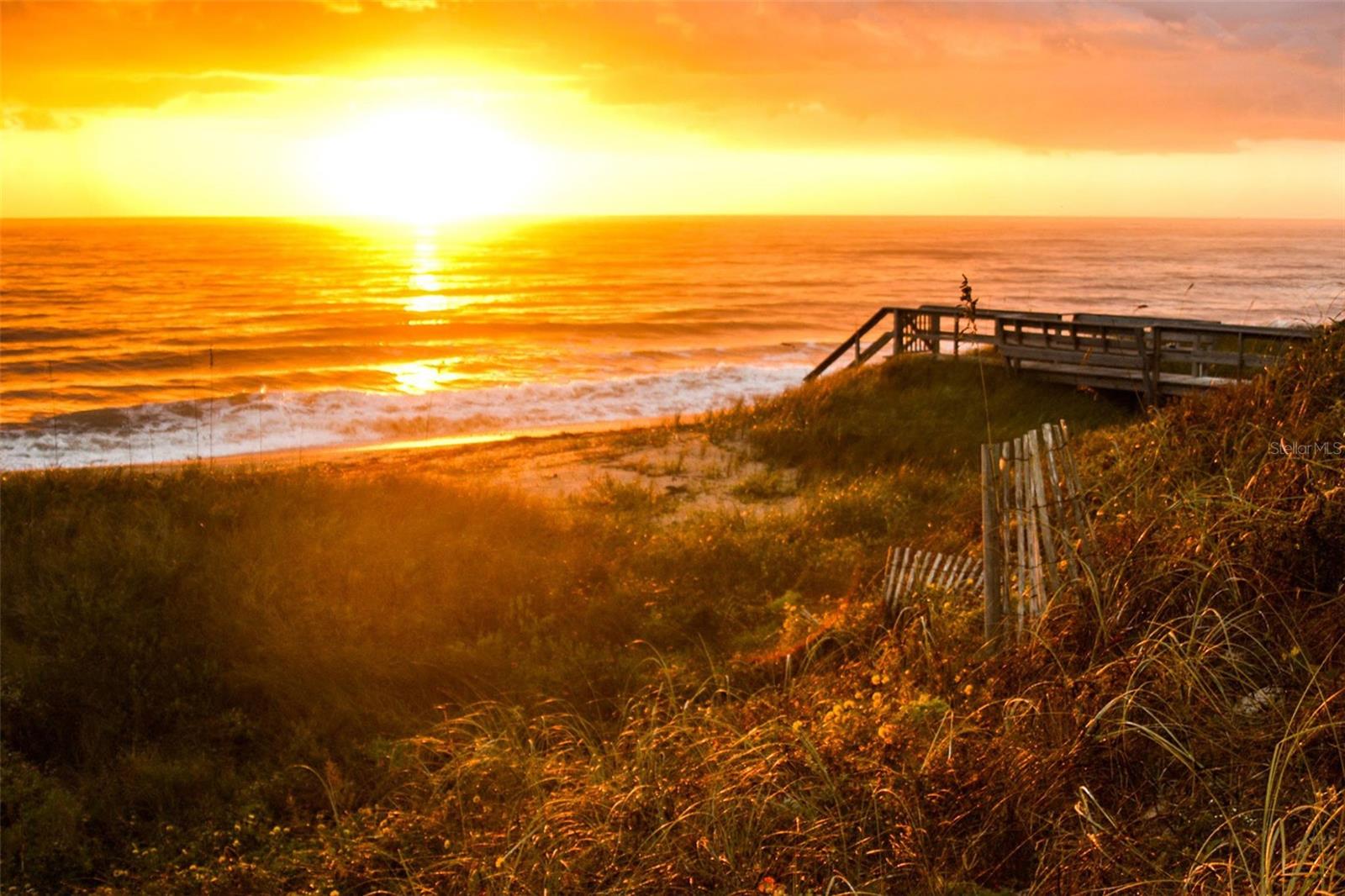 ISLAND HAMMOCK - Residential