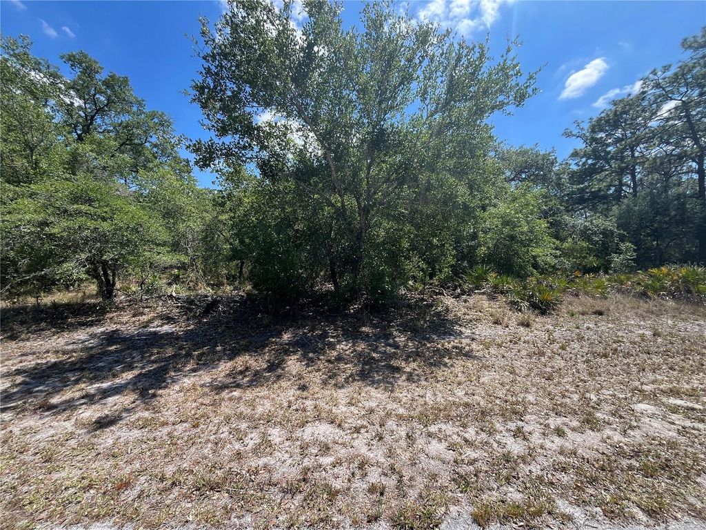 Photo of Oleander Drive, Indian Lake Estates, FL 33855 (MLS # P4934522)
