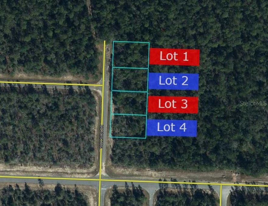** FOUR LOTS NEXT TO EACH OTHER ** Rare opportunity to find 4 lots to equal an entire acre next to each other. Build 4 houses or build one and keep the other for storage, detached garage, your own Florida oasis, the opportunities are endless! This is for a single lot listing, but all other lots are at the same price. Nestled in the serene community of Sunny Hills, this residential lot presents an excellent opportunity to build your dream home in a peaceful, natural setting. Enjoy convenient access to scenic lakes, nature trails, and the public 18-hole golf course, all just moments away. Situated on a quiet paved road in a growing area, this property is ideal for a future homesite or a smart investment. Sunny Hills offers a variety of outdoor activities, including boating, tubing, fishing, and walking, with the added benefit of being a short drive to Panama City, Northwest Florida Beaches International Airport, and some of the world’s most beautiful beaches and breathtaking sunsets.