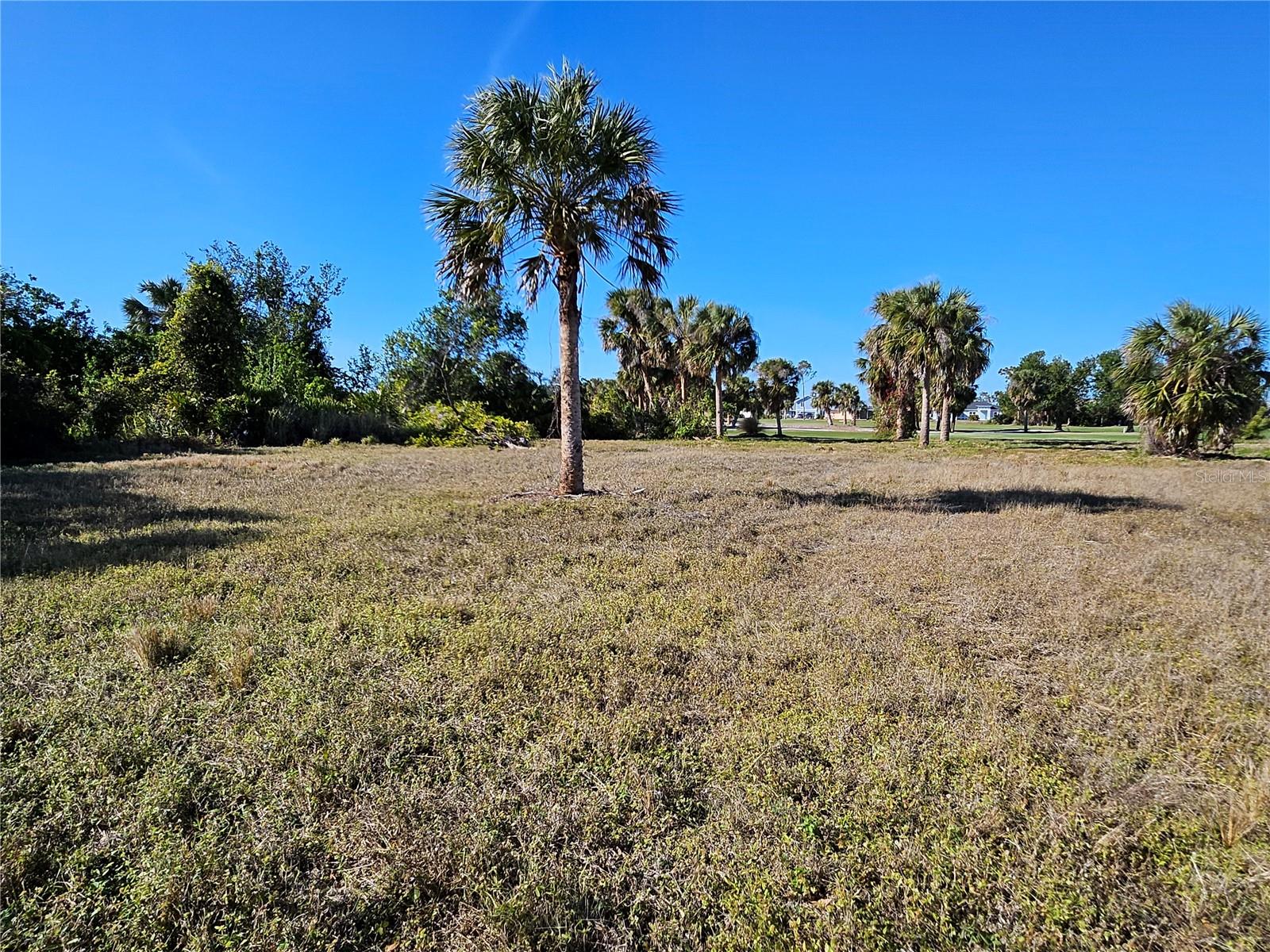 ROTONDA WEST PINEHURST - Land